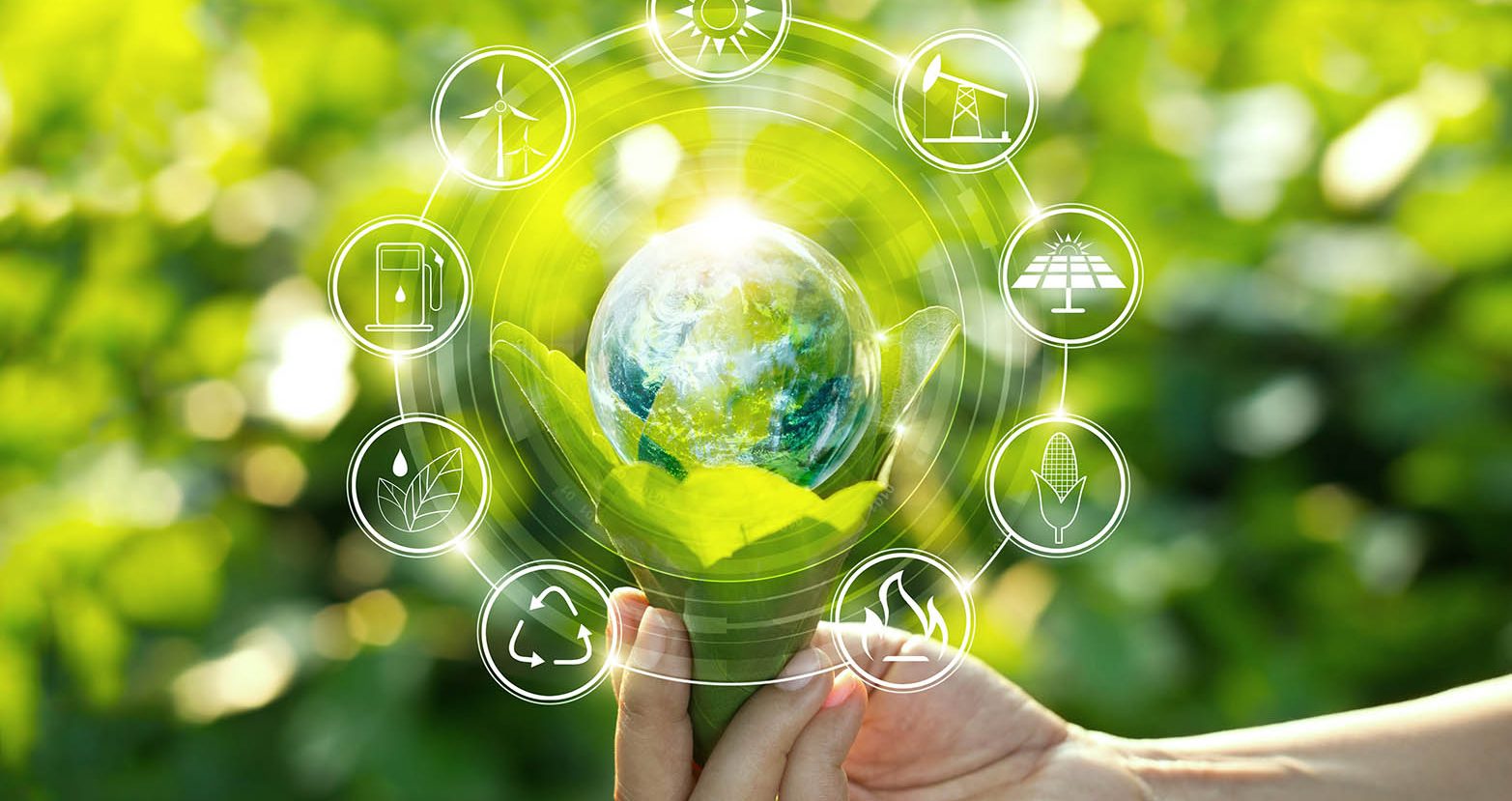 Sustainable Plant Sourcing